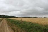 La Pièce du Colombier
